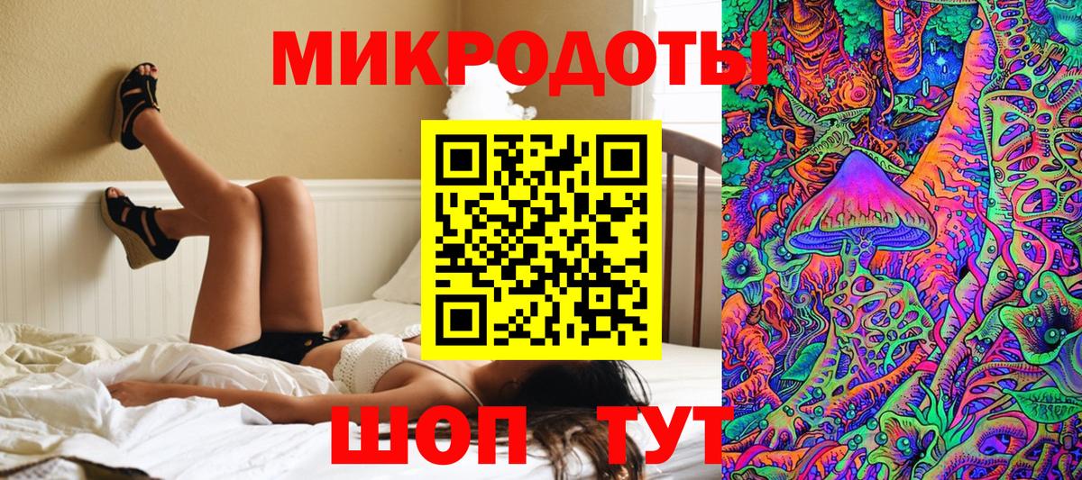 Псилоцибиновые грибы Psilocybe Заринск