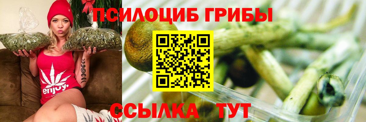 Галлюциногенные грибы мицелий  Вход с VPN  Псилоцибиновые грибы Psilocybe  Заринск 