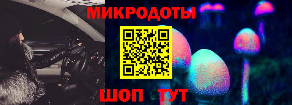 Псилоцибиновые грибы GOLDEN TEACHER Заринск